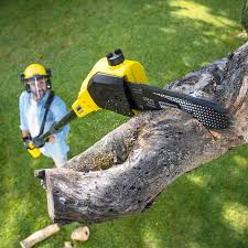 Best Lawn Irrigation Installation and Maintenance  in Dunlap, IN