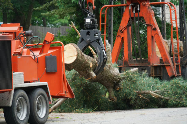 Best Aeration Services  in Dunlap, IN