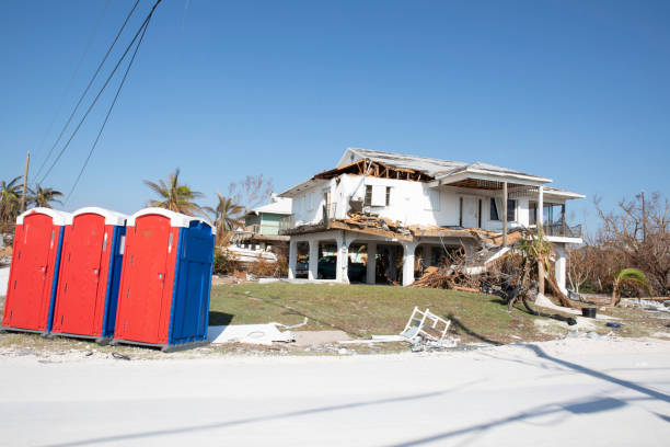 Best Root Management and Removal  in Dunlap, IN